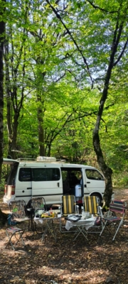 کشف زیبایی‌های پنهان گلستان