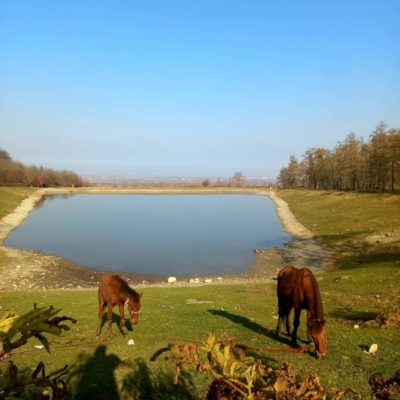 عکاسی حرفه‌ای