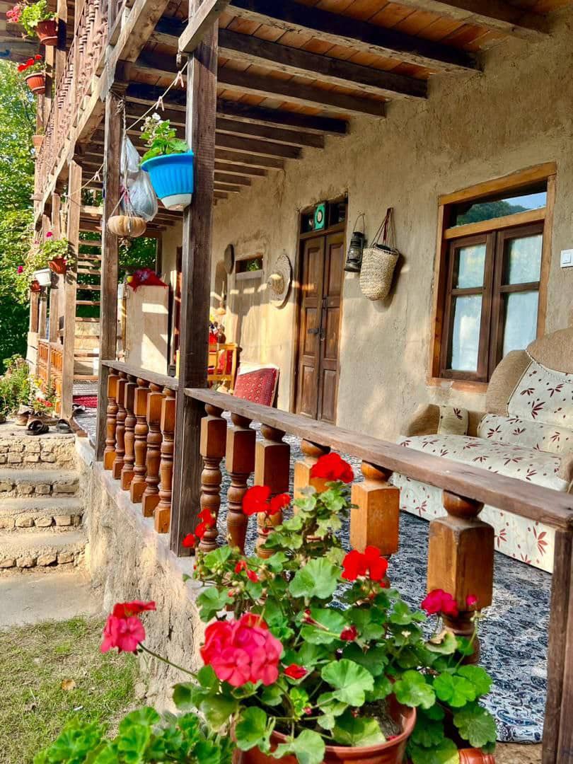 راهنمای متخصص